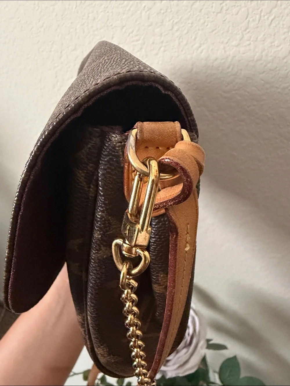 Louis Vuitton classic hard